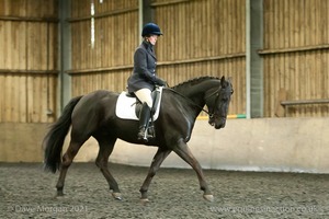 Isis Dressage Crown Farm Show 29th April 2012